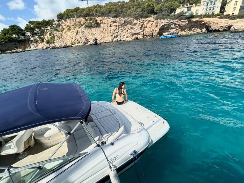 palma-speedboat-tour-with-snorkeling-and-snacks