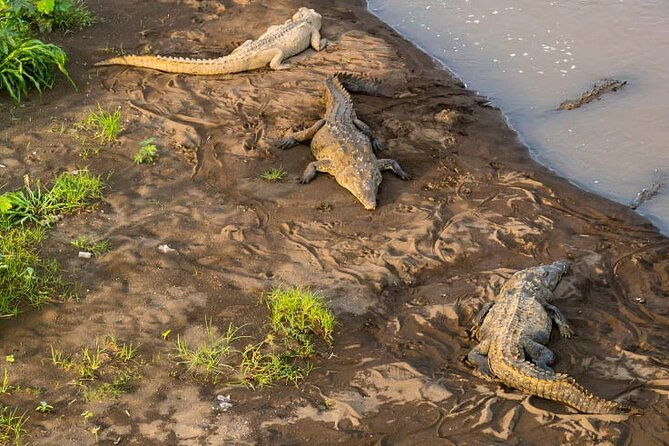 palo-verde-river-boat-trip