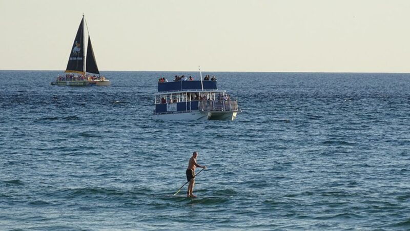 panama-city-sunset-dolphin-cruise-in-st-andrews-bay
