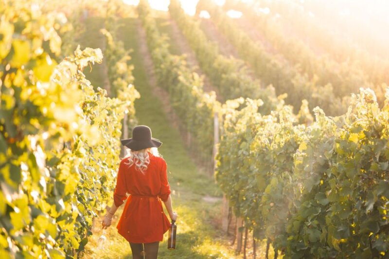 panoramic-prosecco-tasting-tour-from-padua