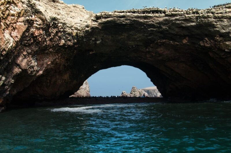 paracas-ballestas-islands-tour-all-inclusive