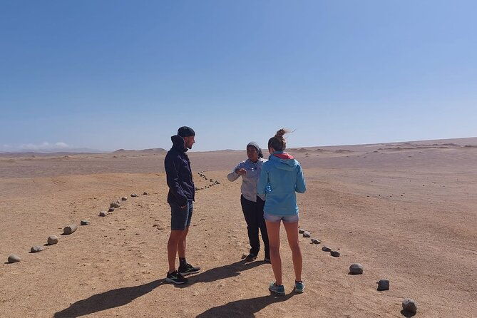 paracas-national-reserve-half-day-tour