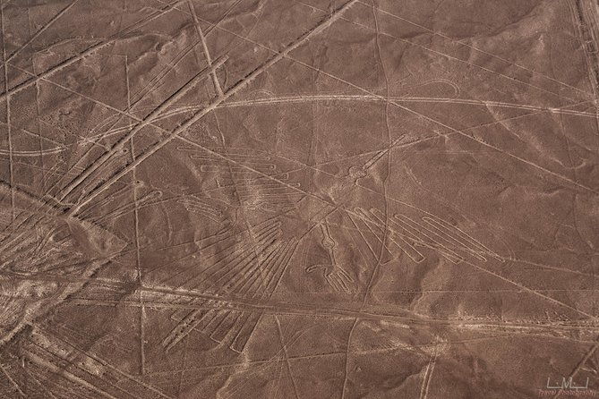 paracas-shore-excursion-nazca-lines-tour