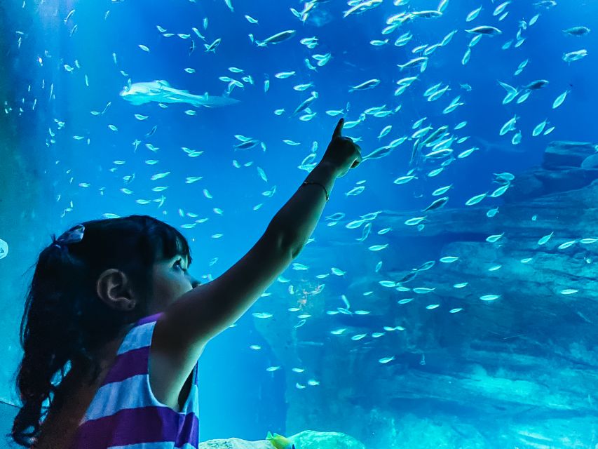paris-aquarium-de-paris-entrance-ticket