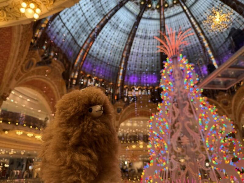 paris-christmas-private-city-tour-by-car