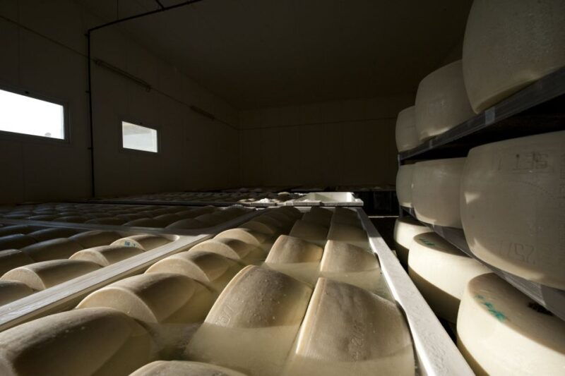 parma-traditional-cheese-factory-visit-with-tasting