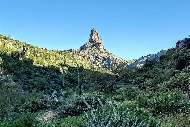 phoenix-wilderness-hiking-tours