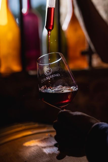 picnic-in-the-organic-vineyards-of-brunello