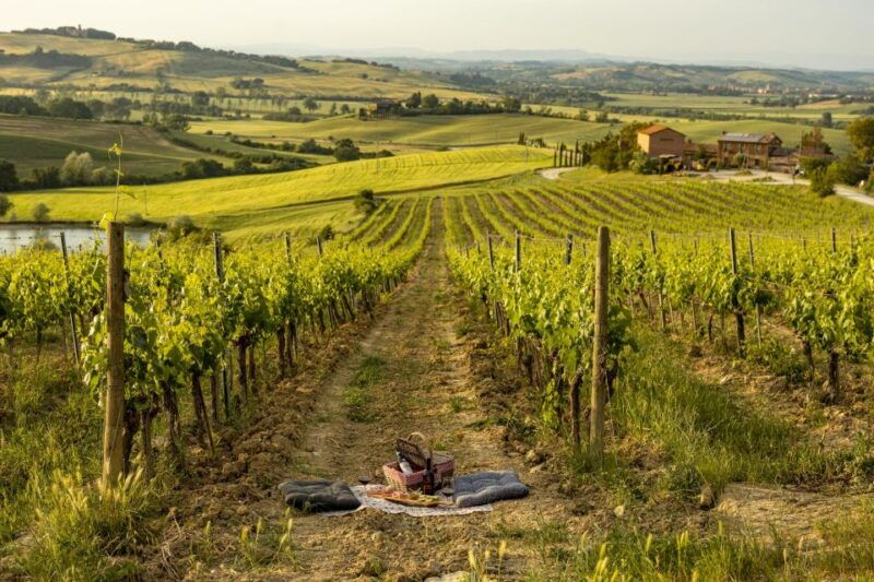 picnic-in-vineyards-with-a-bottle-of-rosso-di-montalcino