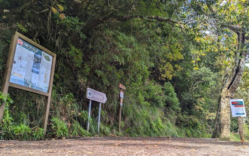 pico-do-arieiro-in-4h-immersive-private-experience-cabrio