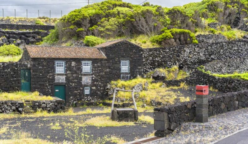pico-island-full-day-wine-culture-tour