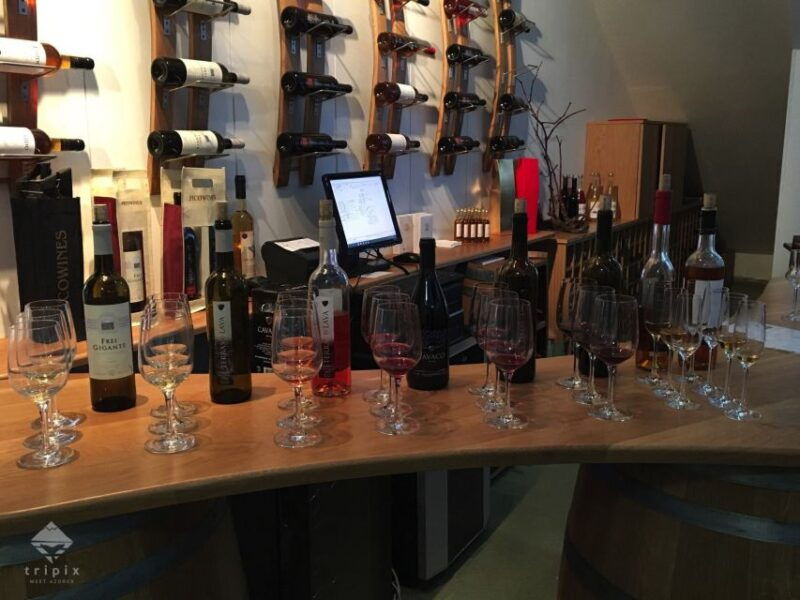 pico-wine-tour-get-to-know-picos-wines