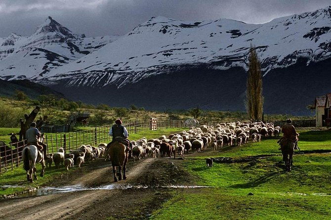 pioneros-navigation-and-trekking
