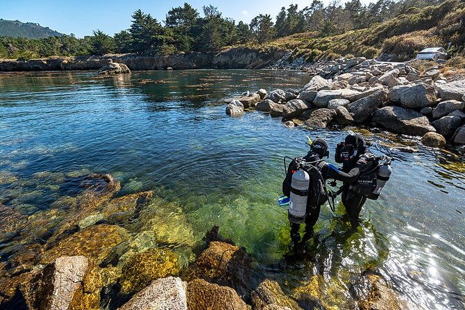 point-lobos-a-private-charming-ocean-tour