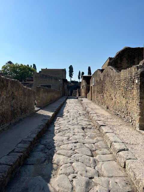 pompei-guided-tour-in-shared-formula