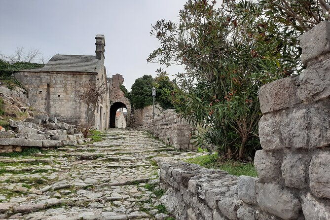 port-of-bar-old-town-bar-and-oldest-european-olive-tree-visit