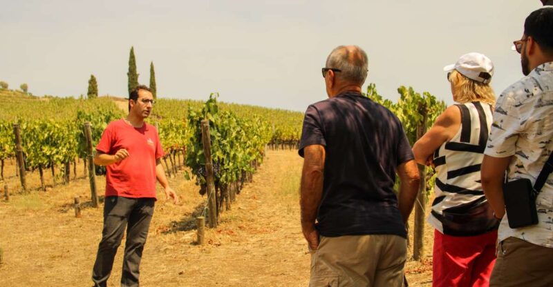 porto-douro-valley-history-wine-tour-with-cruise-lunch