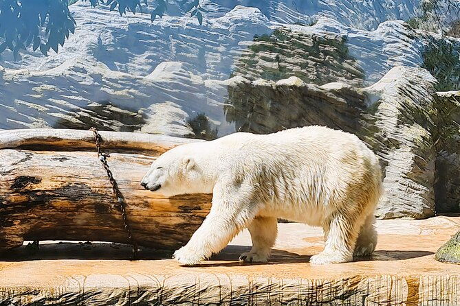 prague-zoo-admission-ticket-with-transfer-and-audio-guide