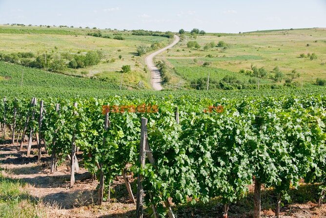 prahova-salt-mine-wine-tasting-private-day-tour-from-bucharest