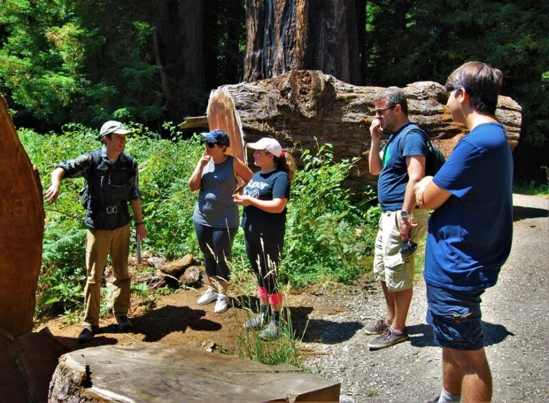 prairie-creek-state-park-redwood-forest-hiking-tour