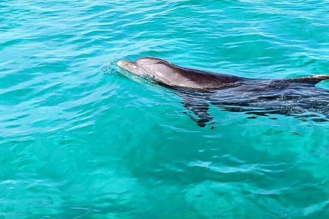 premium-non-private-3-hour-crab-island-and-eco-tour-with-bathroom