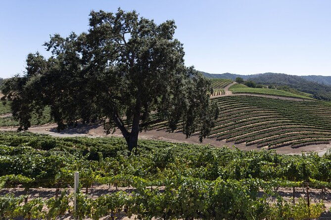 private-all-inclusive-3-winery-tour-from-paso-robles-atascadero