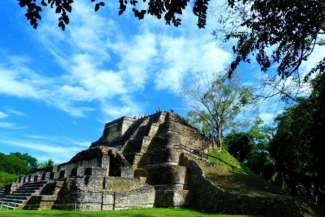 private-altun-ha-maya-ruin-howler-monkey-adventure-from-belize-city