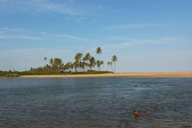 private-beach-buggy-tour-praia-do-forte-by-emytour