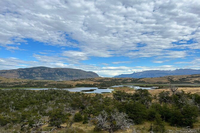 private-bird-watching-experience-in-cerro-castillo