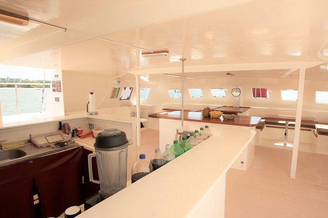 private-catamaran-sailing-tour