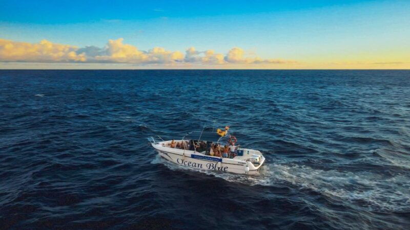 private-charter-private-charter-to-see-the-whales-2-hours