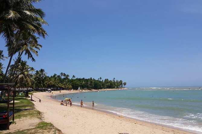 private-coconut-coast-praia-do-forte-tour-from-salvador