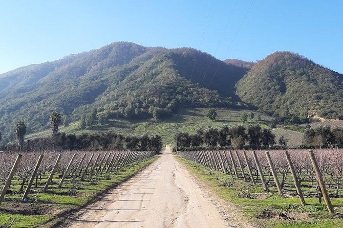 private-colchagua-valley-wine-tour-all-inclusive-from-santiago