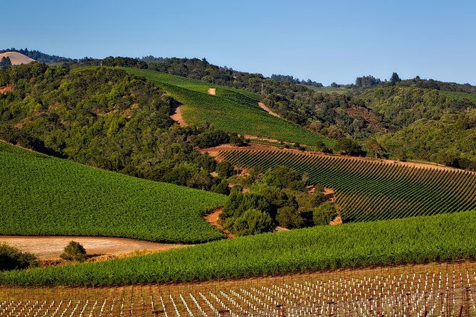 private-customized-sonoma-valley-wine-tour