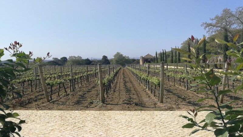 private-day-tour-arrabida-palmela-castle-tiles-and-winery