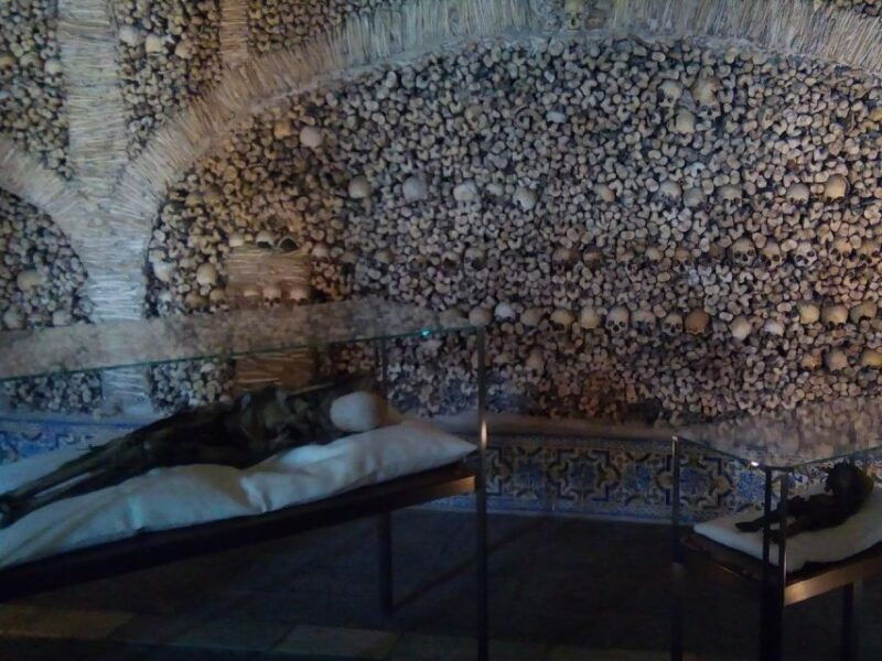 private-day-tour-to-evora-cork-factory-winery-the-city