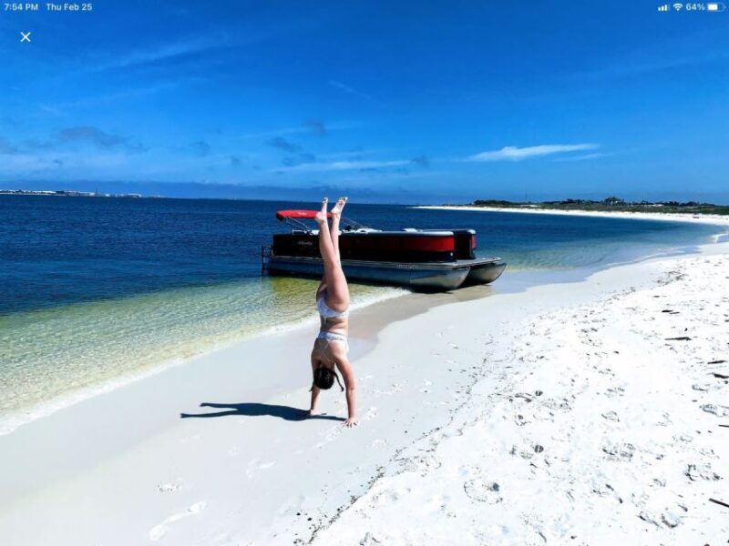 private-dolphin-tour-with-secluded-beach-snorkel-stop