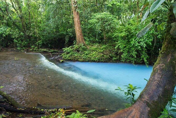 private-full-day-celeste-river-hiking-experience-with-lunch