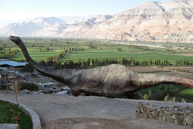private-full-day-majes-toro-muerto-and-dinosaur-footprints-from-arequipa