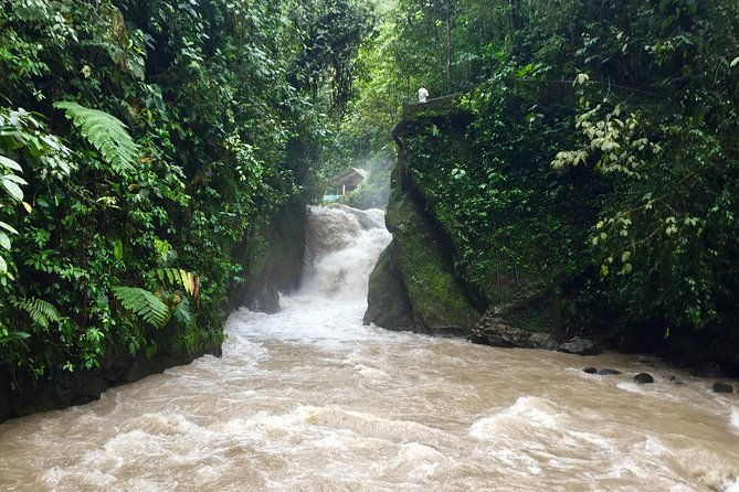 private-full-day-mindo-tour-from-quito