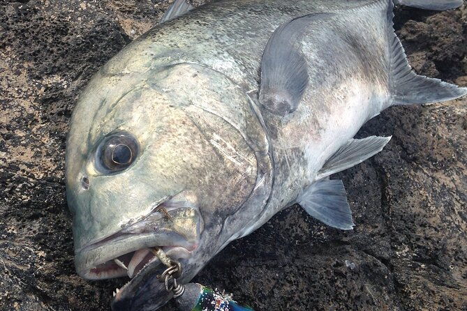 private-full-day-of-gt-fishing