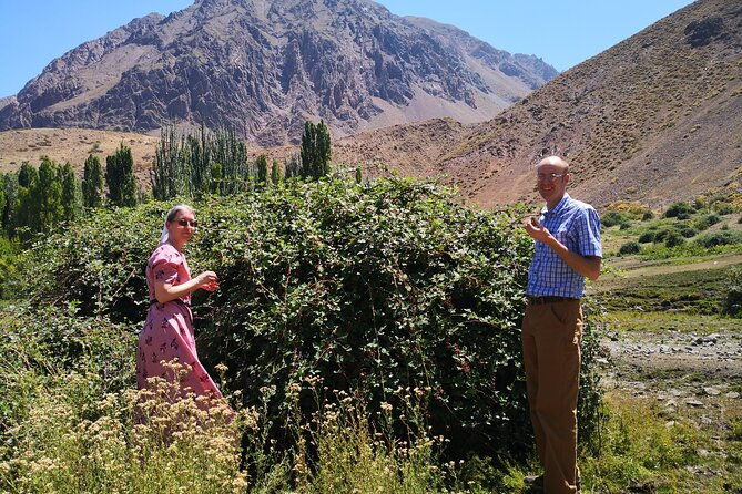 private-guided-tour-in-maipo-canyon-with-winery