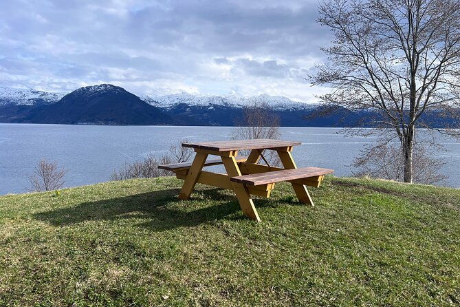 private-guided-tour-of-bergen-and-the-best-of-norwegian-fjords