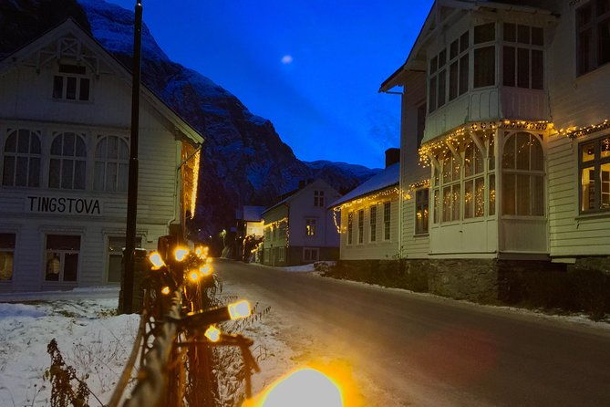 private-guided-tour-the-heart-of-norway-viking-special-8-9-hours-winter