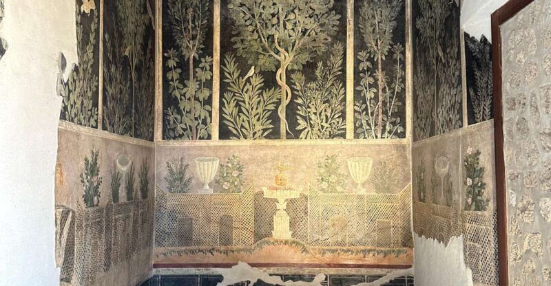 private-guided-tour-to-pompeii-excavations