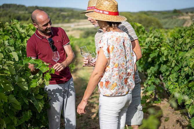 private-half-day-languedoc-wine-tour-from-sete