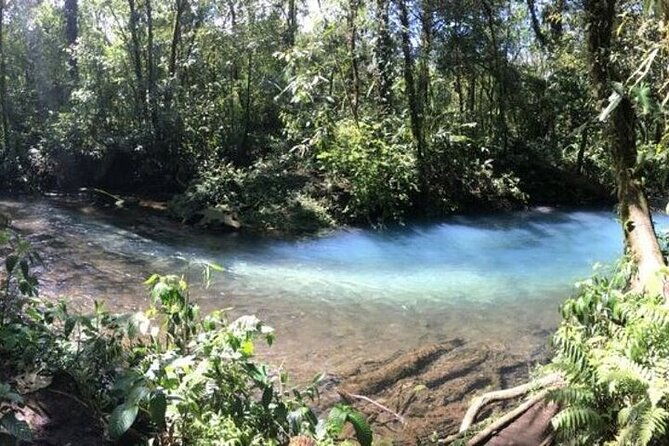 private-hiking-adventure-with-waterfall-and-hot-springs