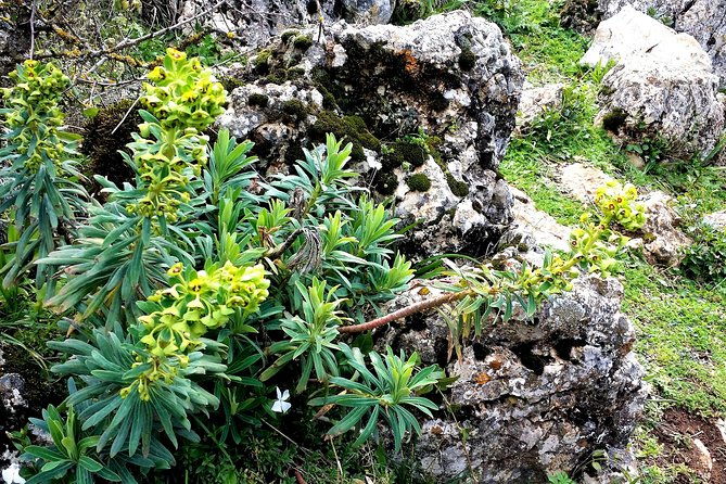 private-hiking-in-el-torcal-from-marbella-or-malaga