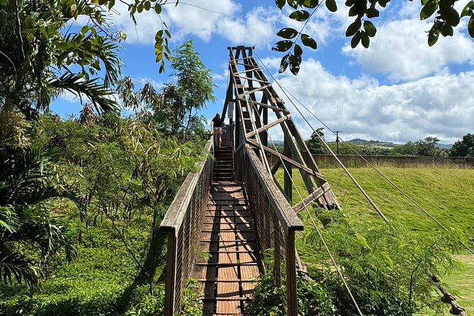 private-kauai-island-tour-waimea-canyon-kalalau-lookout-more