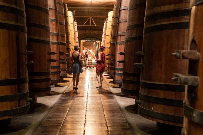 private-maipo-valley-de-luxe-wine-tour